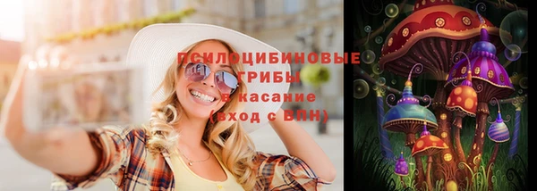 прущие крисы Бородино