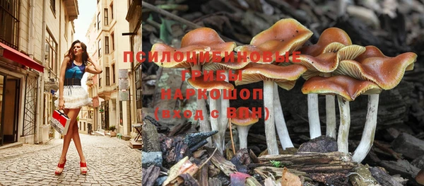 спайс Бронницы