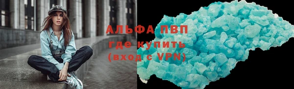 прущие крисы Бородино