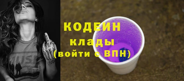 прущие крисы Бородино