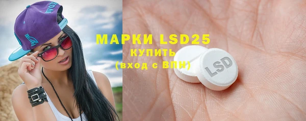 прущие крисы Бородино